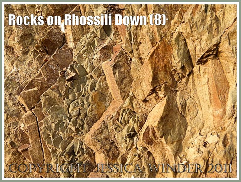 Gower geology: Rock texture, colour and pattern in Carboniferous Lower Limestone Shales in an exposure at Rhossili, Gower, South Wales, UK (8)