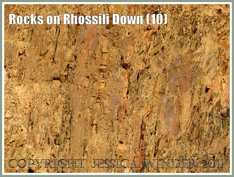 Gower geology: Rock texture, colour and pattern in Carboniferous Lower Limestone Shales in an exposure at Rhossili, Gower, South Wales, UK (10)