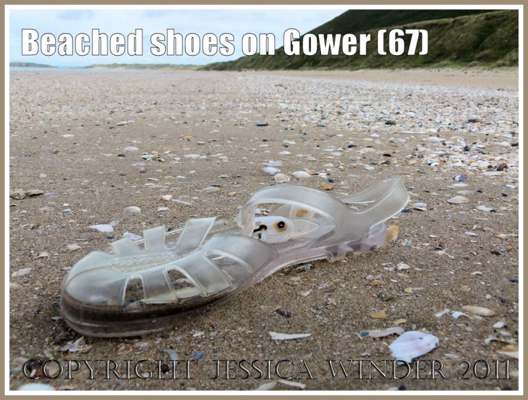 P1100507aBlog4 Clear "jelly" type of sandal washed ashore at Rhossili Bay, Gower, South Wales, UK (67) Clear "jelly" type of sandal washed ashore at Rhossili Bay, Gower, South Wales, UK (67)