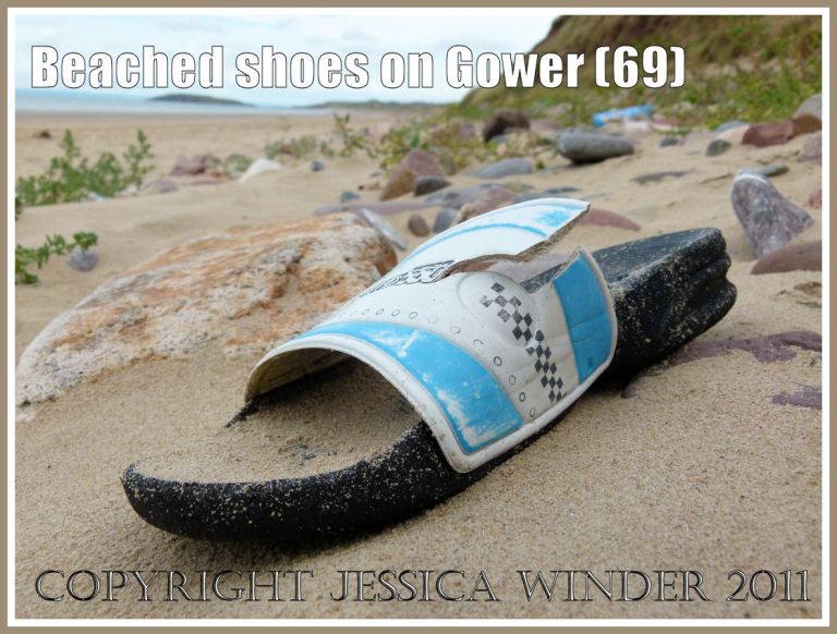 P1100553aBlog6 Mule sandal with blue and white plastic strap on the sand at Rhossili Bay, Gower, South Wales, UK (69) Mule sandal with blue and white plastic strap on the sand at Rhossili Bay, Gower, South Wales, UK (69)