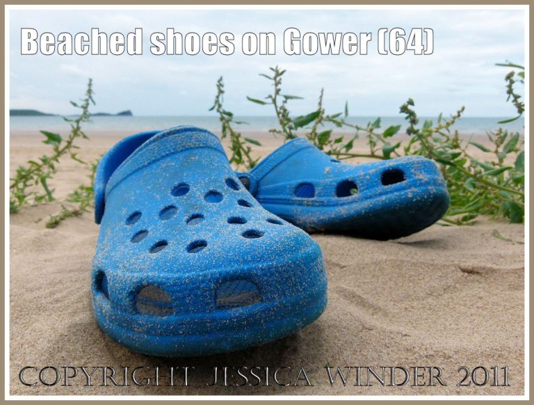 P1100569aBlog1 Pair of bright blue plastic Croc sandals abandoned and forgotten on the sandy beach at Rhossili, Gower, South Wales, UK (64) Pair of bright blue plastic Croc sandals abandoned and forgotten on the sandy beach at Rhossili, Gower, South Wales, UK (64)