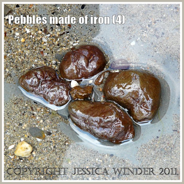 A small naturally-occuring cluster of iron pyrites nodules in shallow water at low tide at Charmouth on the Jurassic Coast, Dorset, UK (4)
