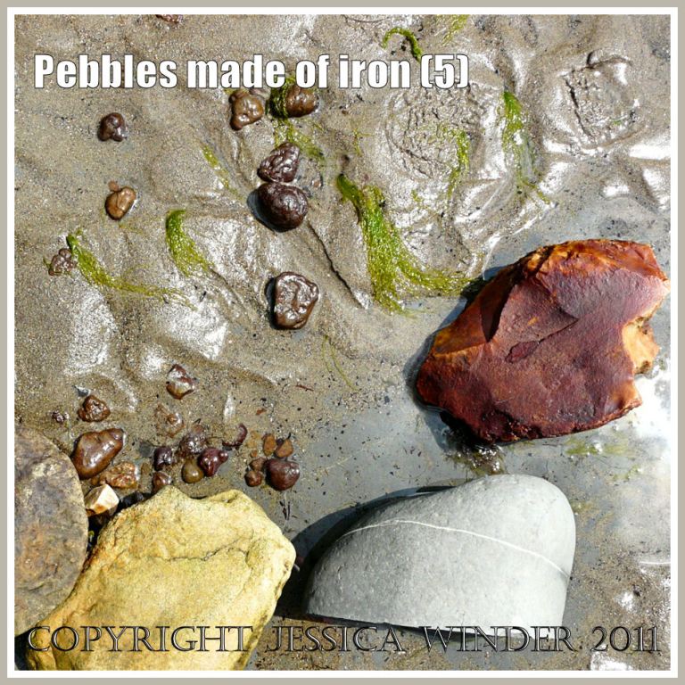A natural cluster of iron pyrites pebbles on sand with cobble sized rocks and footprint at Charmouth on the Jurassic Coast, Dorset, UK (5)
