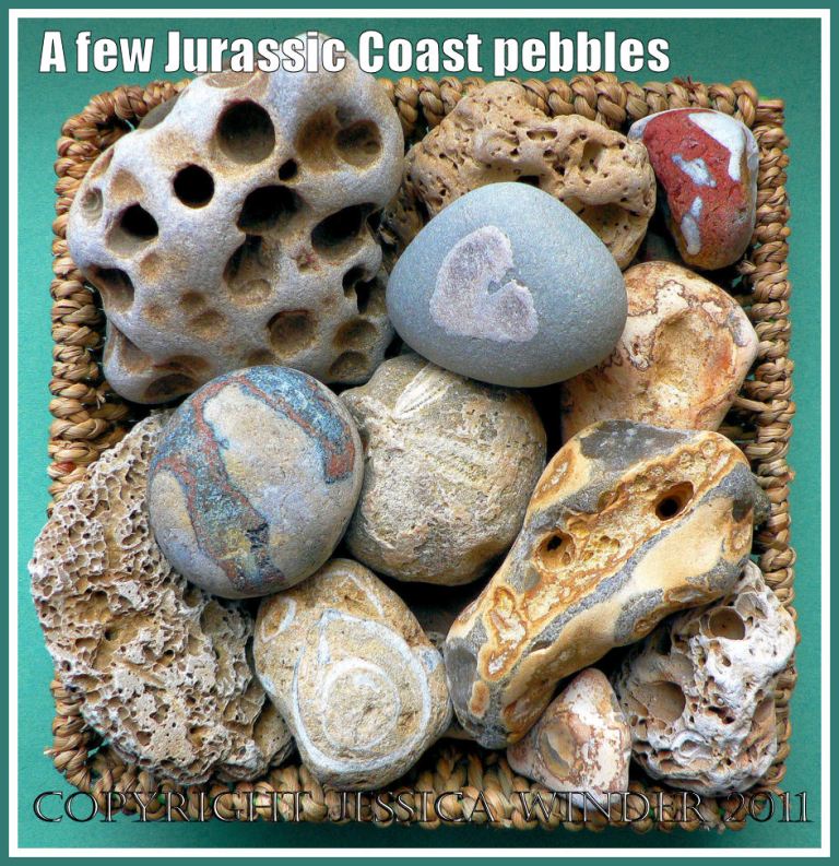 Pebbles from the Jurassic Coast World Heritage Site in Dorset, U.K.