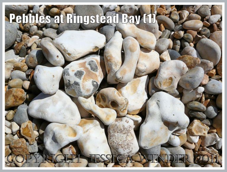 Flint pebbles at Ringstead: A selection of white-coated flint pebbles on the shingle beach at Ringstead, Dorset, UK - part of the Jurassic Coast (1)