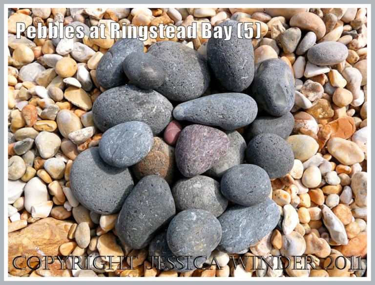 Grey and orange pebbles on a Dorset beach: A selection of mostly dark grey pebbles on the shingle beach at Ringstead, Dorset, UK - part of the Jurassic Coast (5)