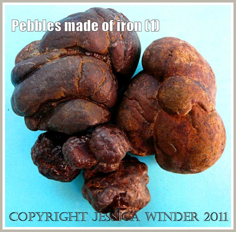 Metal pebbles - nodules of iron pyrites from the Jurassic Coast in Dorset, UK (1)