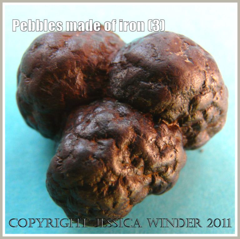 Metal pebble with three lobes - a nodule of iron pyrites from the Jurassic Coast in Dorset, UK (3)