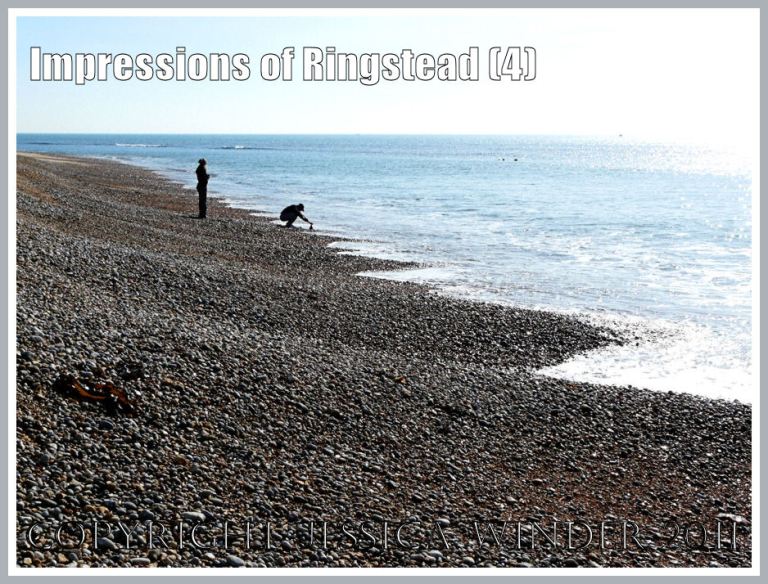P1240933aBlog4 Steeply undulating shingle banks at the edge of the sea, Ringstead Bay, Dorset, UK, part of the Jurassic Coast, 2 March 2010 (4) Shingle beach at Ringstead Bay: Steeply undulating shingle banks at the edge of the sea, Ringstead Bay, Dorset, UK, part of the Jurassic Coast, 2 March 2010 (4)