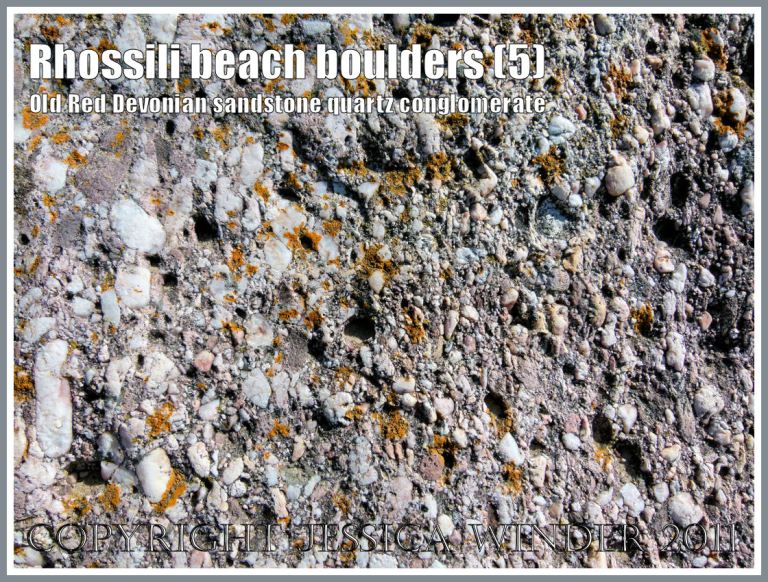 Rhossili rock texture: Close-up photograph of a large boulder of quartz conglomerate, from the Old Red Devonian Sandstone strata of Rhossili Down, lying on Rhossili Beach, Gower, South Wales, UK (5)