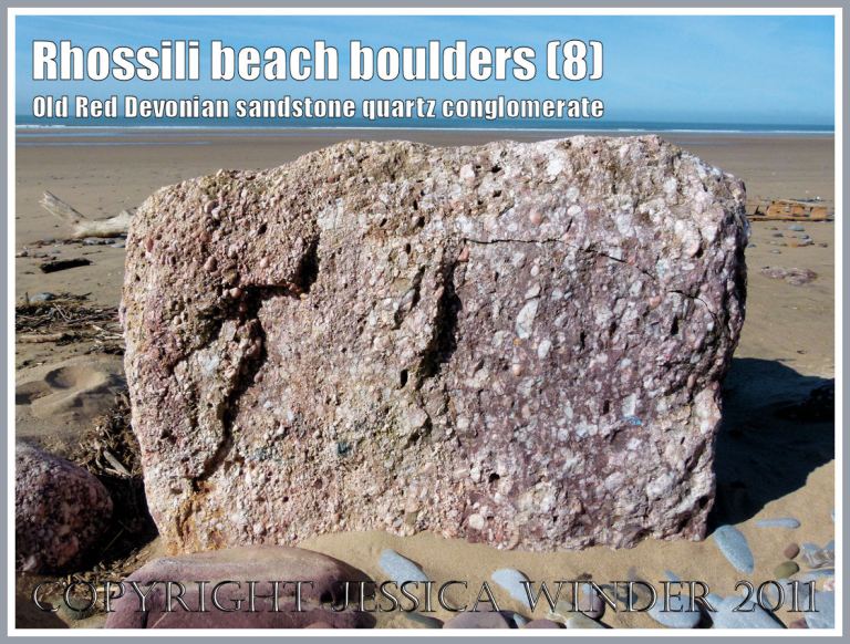 Rhossili rocks: A boulder of quartz conglomerate, from the Old Red Devonian Sandstone strata of Rhossili Down, on Rhossili Beach, Gower, South Wales, UK (8)