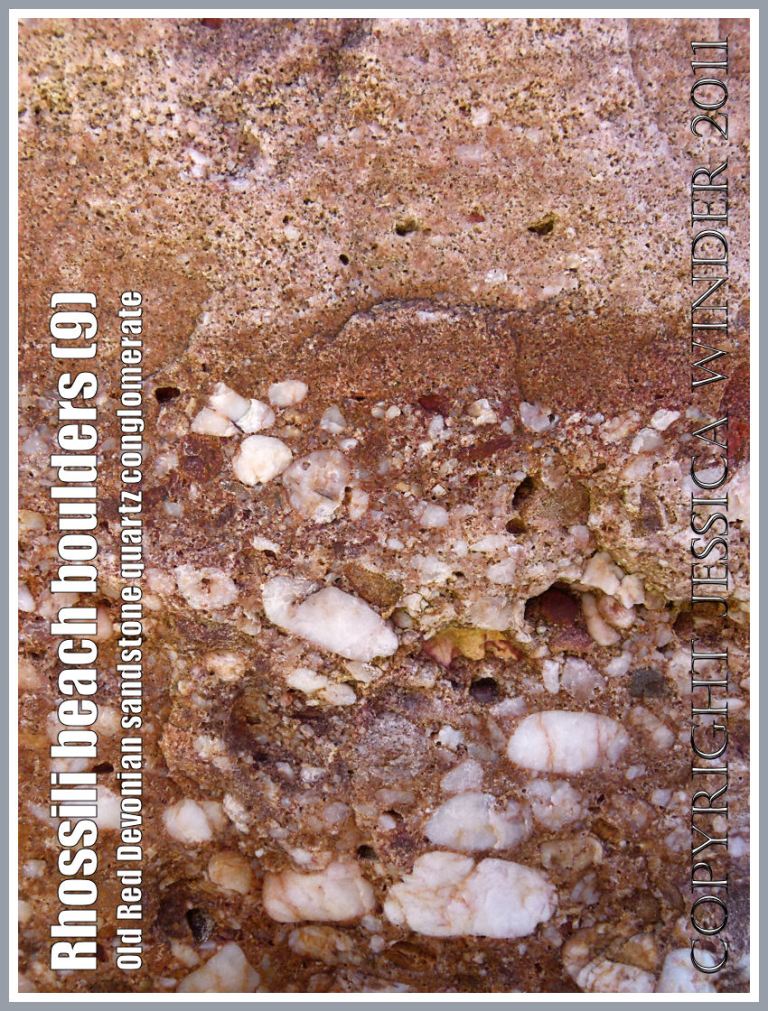 Rhossili rock texture: Detail of the composition and texture a boulder of quartz conglomerate, from the Old Red Devonian Sandstone strata of Rhossili Down, on Rhossili Beach, Gower, South Wales, UK (9)