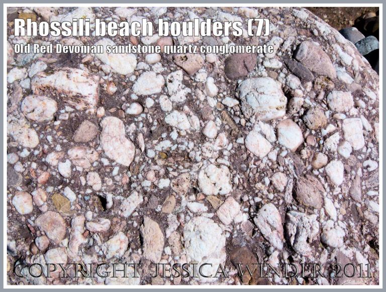 Rhossili rock texture: Detail of the structure and texture a boulder of quartz conglomerate, from the Old Red Devonian Sandstone strata of Rhossili Down, on Rhossili Beach, Gower, South Wales, UK (7)