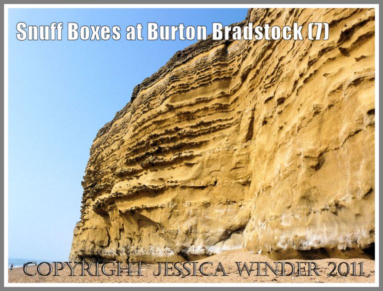 The cliff of Bridport Sands with Inferior Oolite topping at Burton Bradstock, Dorset, UK - part of the Jurassic Coast (7)