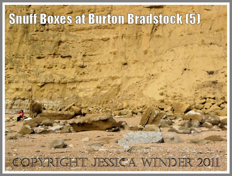 A rock fall on the seashore at the base of the cliff at Burton Bradstock, Dorset, UK - part of the Jurassic Coast. The small figure in the red top by the rocks gives an idea of the scale (5)