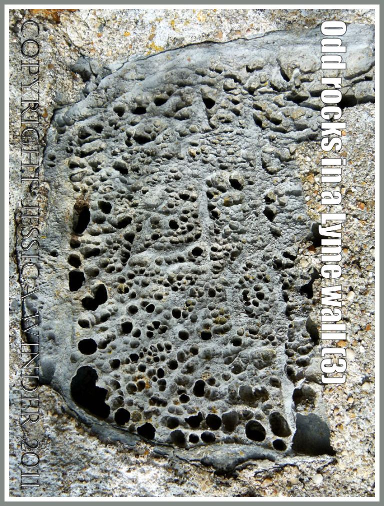 Rock texture: Close up detail of natural pattern and texture in rock with holes in a sea wall at Lyme Regis, Dorset, UK, on the Jurassic Coast (3)