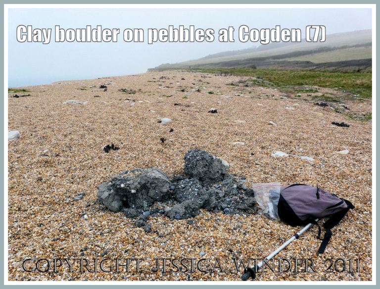 A typical ancient clay block (from deposits underlying the present seashore sediments) found on the shingle bank at Cogden Beach, Dorset, UK - part of the Jurassic Coast (7)
