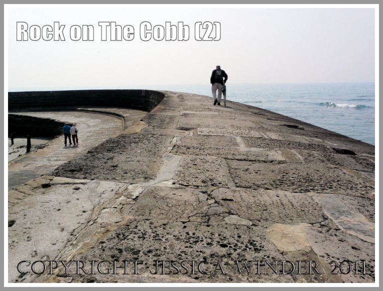 Portland Roach blocks on The Cobb: The upper surface of the curving sea defence known as The Cobb, at Lyme Regis, Dorset, UK on the Jurassic Coast (2)