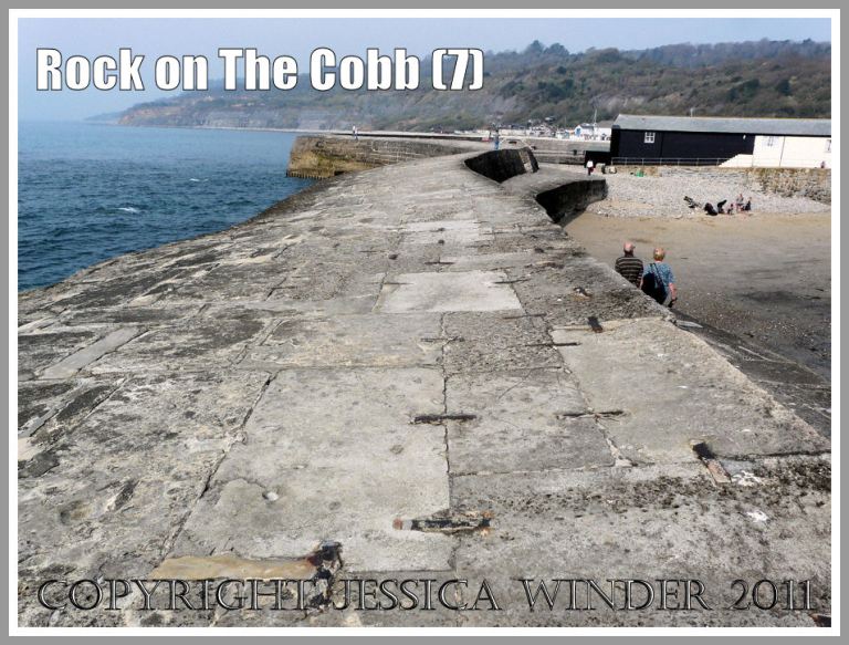 View looking along the top of curving harbourside sea defence of The Cobb towards Monmouth Beach, at Lyme Regis, Dorset, UK, on the Jurassic Coast (7)