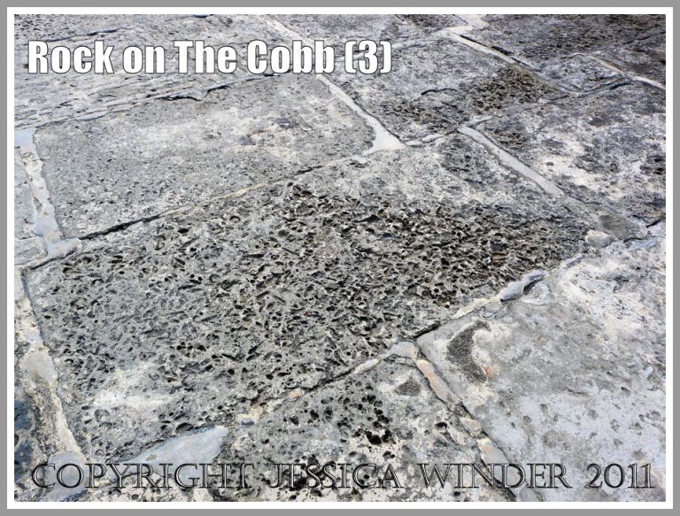 Portland Roach: Blocks of Portland Roach limestone with mortar in the sea defence known as The Cobb around the harbour at Lyme Regis, Dorset, UK on the Jurassic Coast (3)