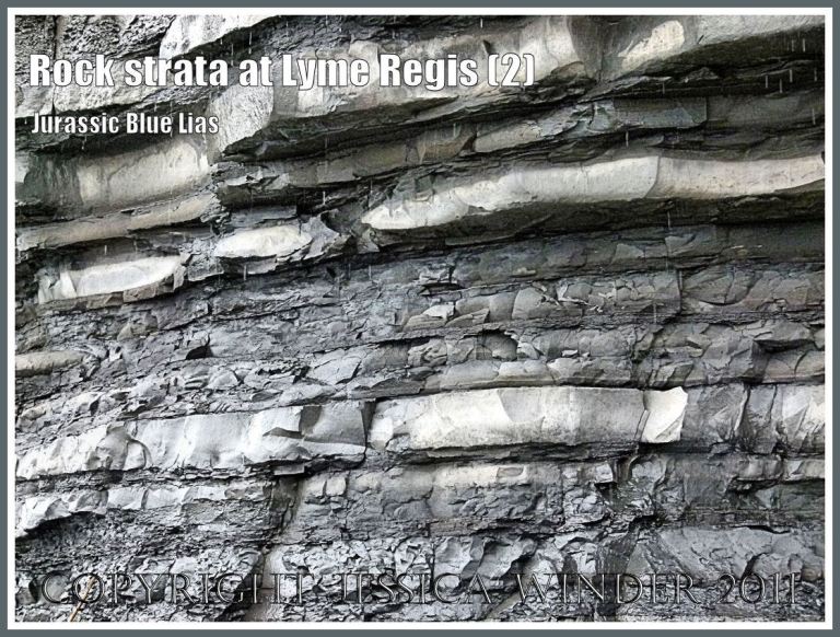 Lower Jurassic Blue Lias rock strata pattern and texture in the cliff at Chippel Bay, Lyme Regis, Dorset, UK, on the Jurassic Coast World Heritage Site (2)