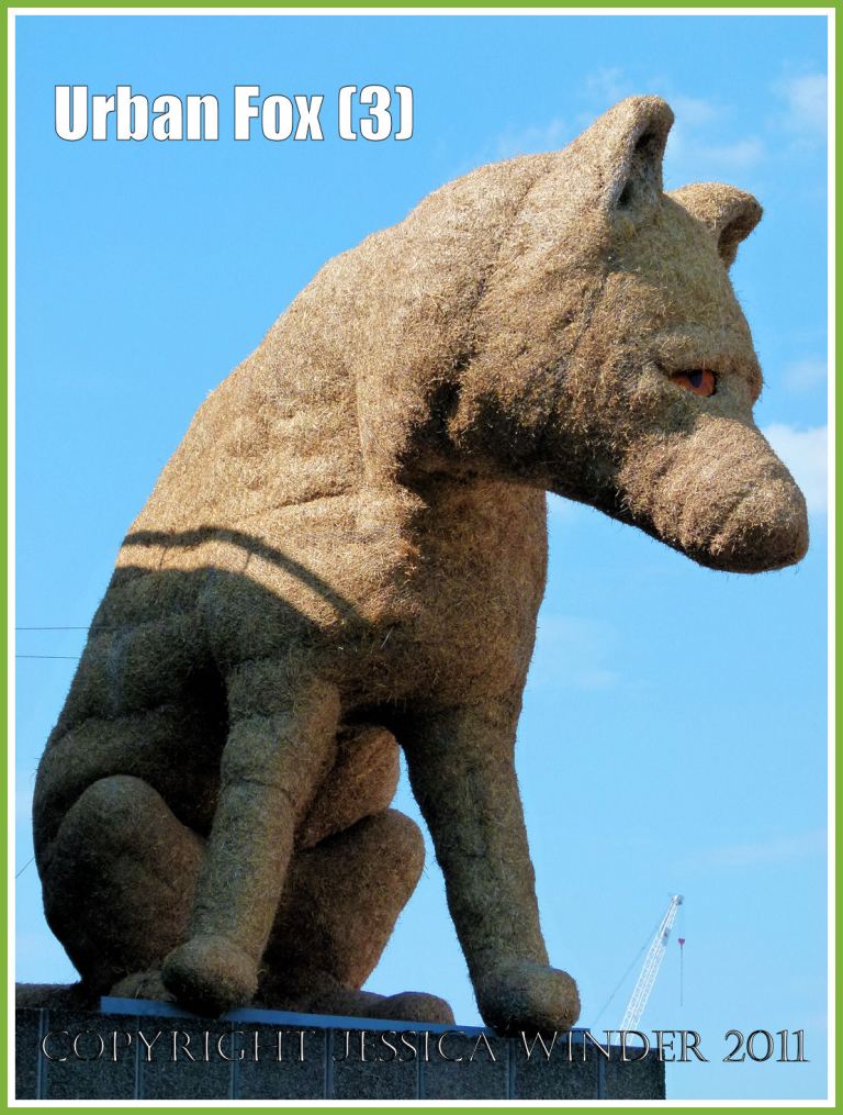 Fox sculpture: Giant fox sculpture on London's South Bank - made of straw by Pirate Technics as part of the celebrations for the anniversary of the Festival of Britain (3)