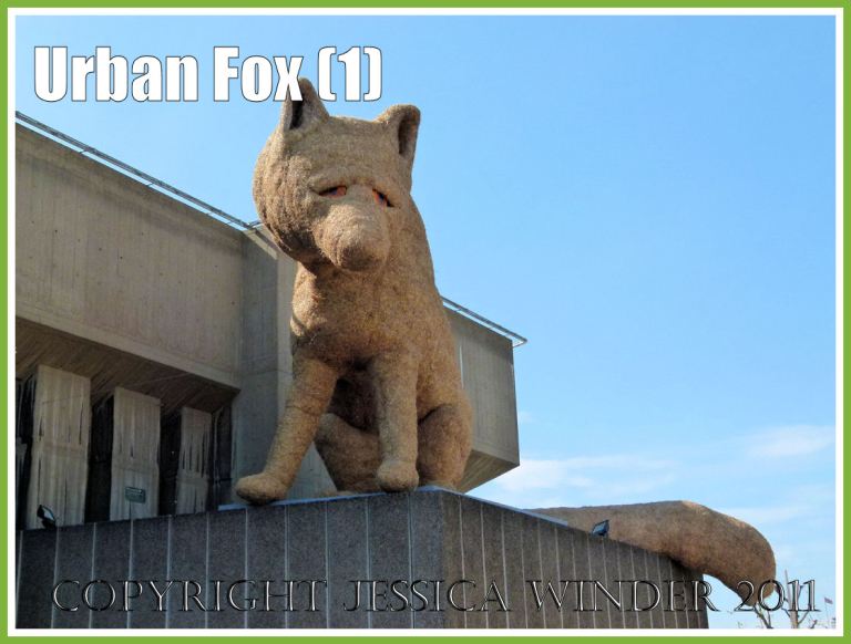 Straw fox: Giant fox sculpture on London's South Bank - made of straw by Pirate Technics as part of the celebrations for the anniversary of the Festival of Britain (1)
