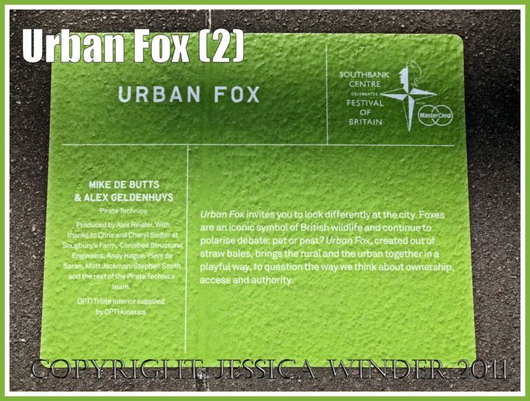 Label for giant fox sculpture on London's South Bank - made of straw by Pirate Technics as part of the celebrations for the anniversary of the Festival of Britain (2)