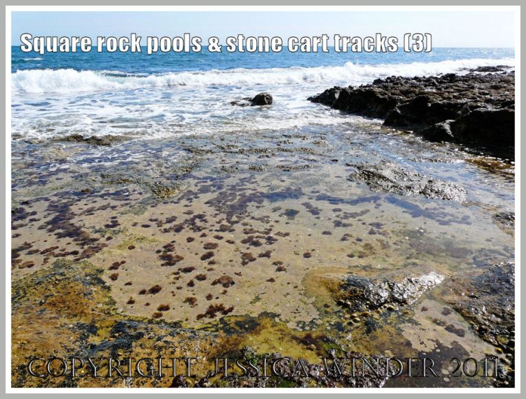 View looking south across the rock platform at Winspit, Dorset, UK - part of the Jurassic Coast (3)