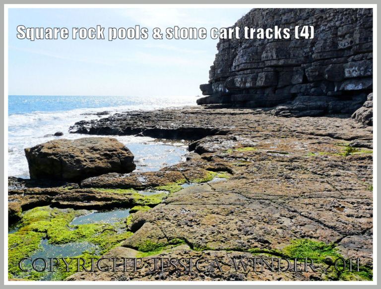 View looking west across the rock platform to the cliffs at Winspit, Dorset, UK - part of the Jurassic Coast (4)