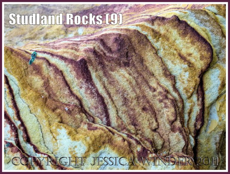 Rock colour, pattern, and texture in cliffs at Studland Bay, Dorset, UK, on the Jurassic Coast (9)