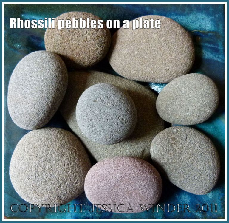 Rhossili pebbles: Assortment of pebbles from Rhossili on the Gower Penisula with a common coarse-grained sandy textured, smooth flattened shape, and subtle colours of grey, beige and pink; possibly Millstone Grit from the Upper Carboniferous Period.