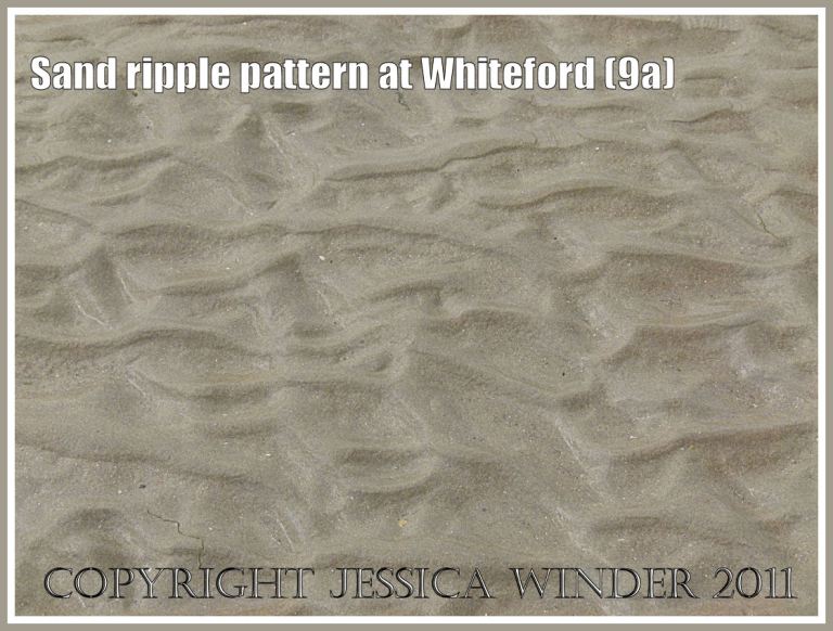 Sand ripple pattern at Whiteford Sands, Gower, South Wales, UK 16th August 2011 (9a)