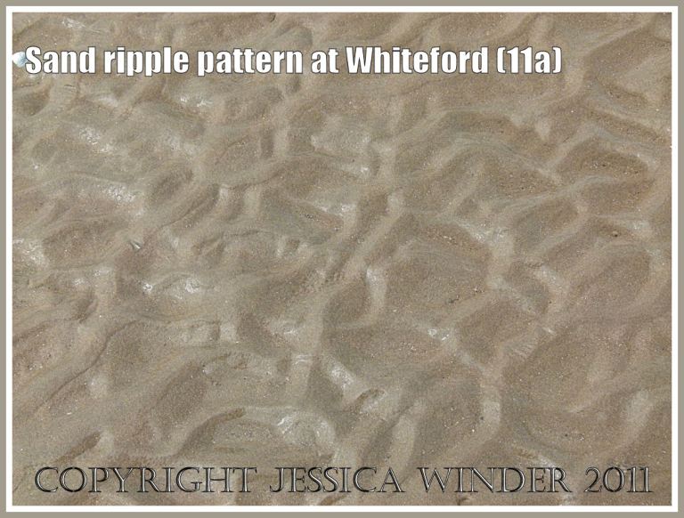Sand ripple pattern at Whiteford Sands, Gower, South Wales, UK 16th August 2011 (11a)