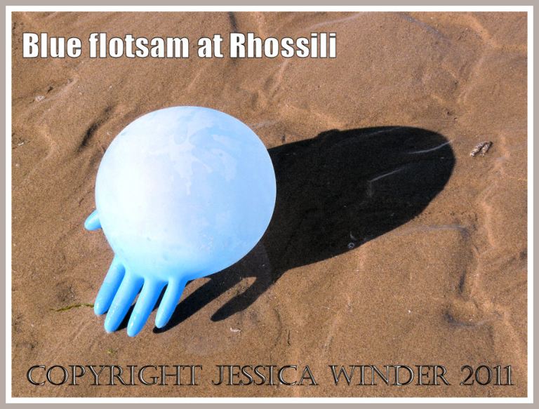 P1110595aBlog1 An inflated blue rubber glove bobbing ashore on the incoming tide at Rhossil Bay, Gower, South Wales, UK (1) Flotsam blue rubber glove: An inflated blue rubber glove bobbing ashore on the incoming tide at Rhossil Bay, Gower, South Wales, UK (1)