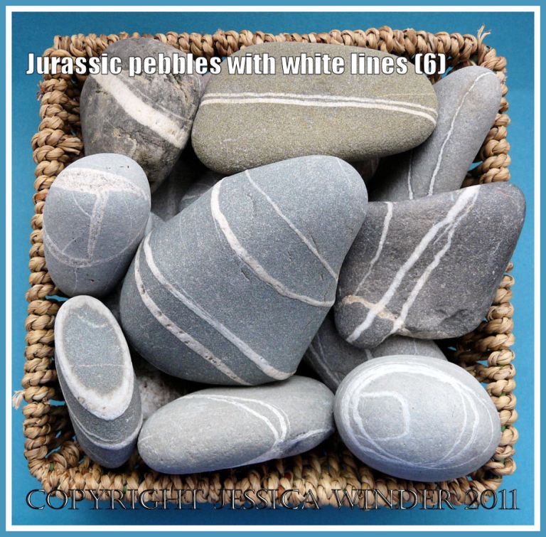 A basket of pebbles with white lines from the Jurassic Coast, UK (6)