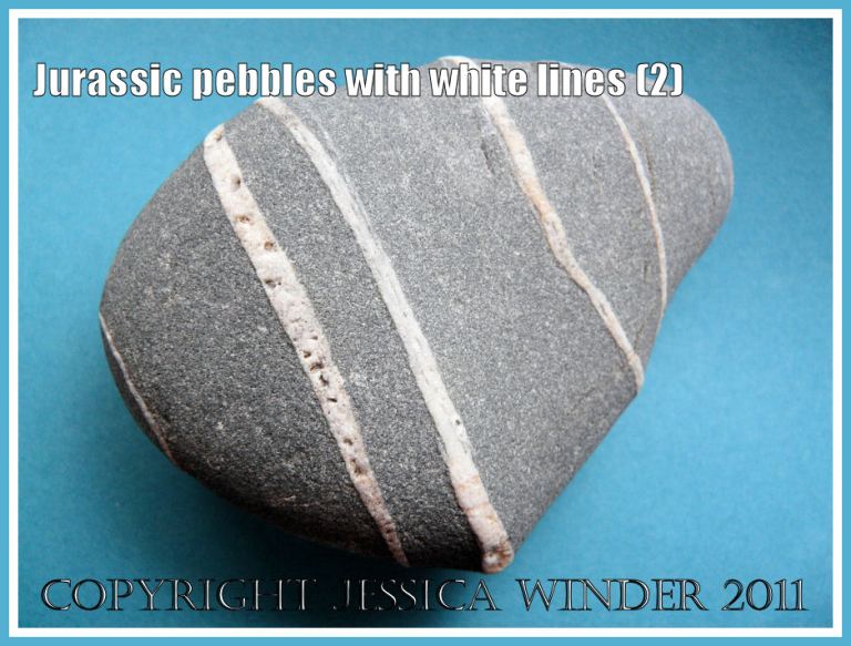 A pebble with white lines from the Jurassic Coast, Dorset, UK (2)