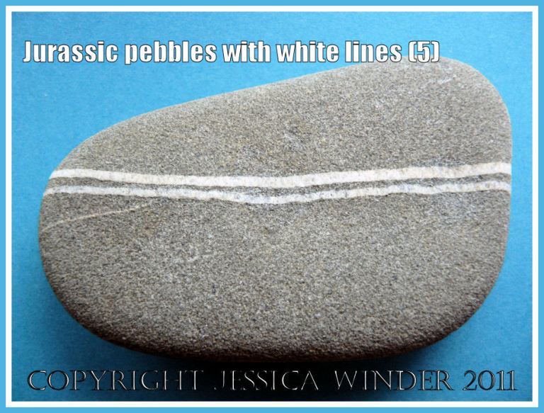 A pebble with a pattern of white lines from the Jurassic Coast, Dorset, UK (5)