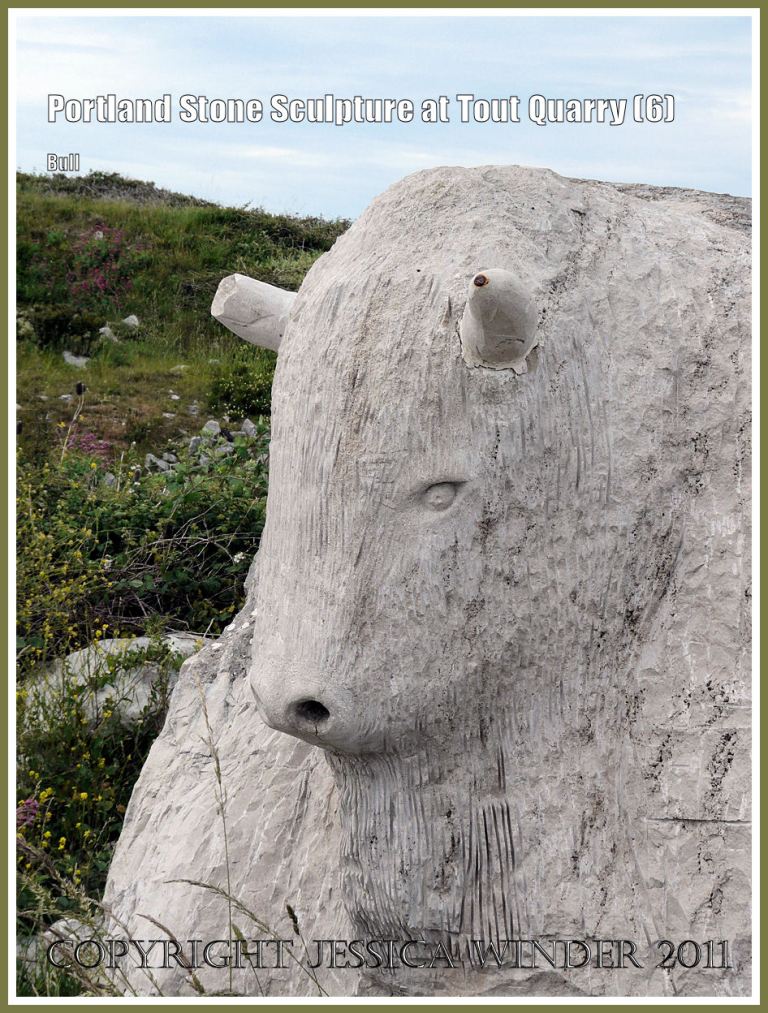 Portland Stone bull: Portland Stone sculpture at Tout Quarry, Isle of Portland, Dorset, UK, on the Jurassic Coast - bull's head (6)
