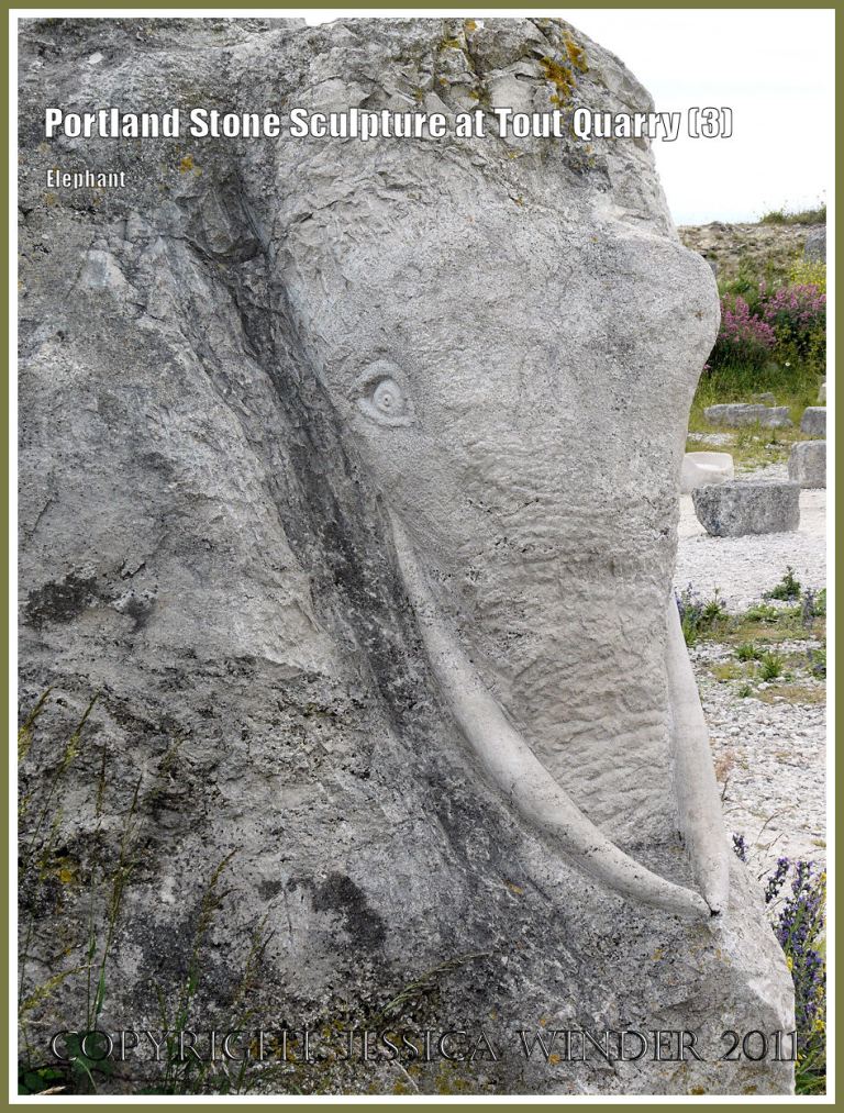 Portland Stone elephant head: Portland Stone sculpture at Tout Quarry, Isle of Portland, Dorset, UK, on the Jurassic Coast - elephant head (3)
