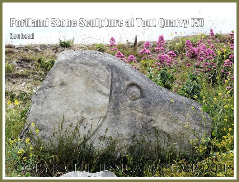 Portland stone dog head sculpture: Portland Stone sculpture at Tout Quarry, Isle of Portland, Dorset, UK, on the Jurassic Coast - giant dog's head (5)