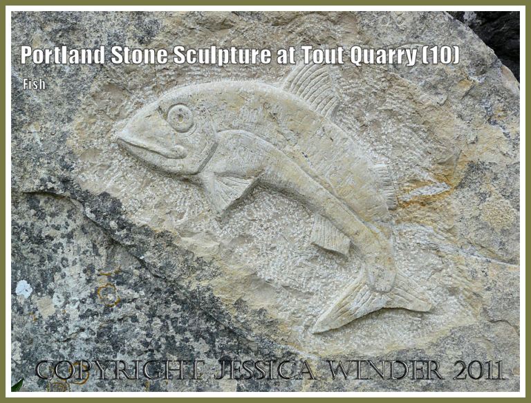 Fish carved in Portland Stone; Portland Stone sculpture at Tout Quarry, Isle of Portland, Dorset, UK, on the Jurassic Coast - fish relief (10)