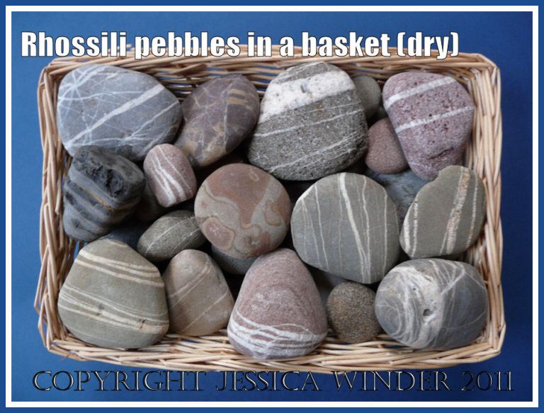 Pebbles with white lines from Rhossili: Assortment of mostly striped pebbles from Rhossili, Gower, South Wales, showing appearance when dry (1)