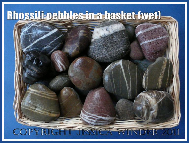 Wet striped pebbles in a basket: Assortment of pebbles, mostly with striped patterns, from Rhossili, Gower, South Wales, showing appearance when wet (2)