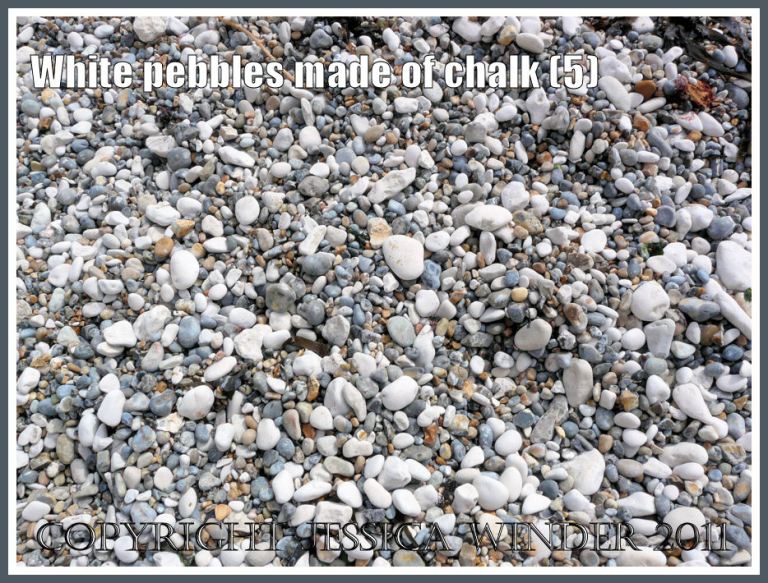 Dry pebbles of white chalk, grey flint, and yellow chert on a Jurassic Coast beach (5)
