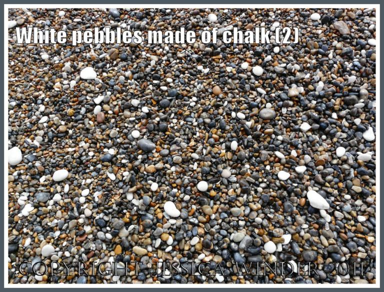 Pebbles of white chalk with grey flint and yellow chert on a Jurassic Coast seashore (2)