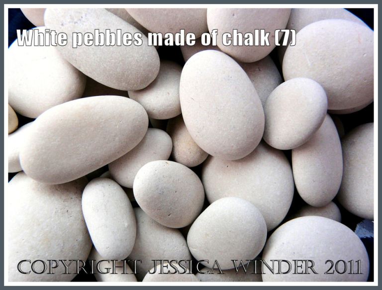 An arrangement of white chalk pebbles (7)