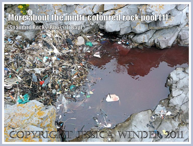 Flotsam-filled rock pool on the seashore at Spaniard Rocks, Rhossili Bay, Gower, UK on 03.08.2009 (1)