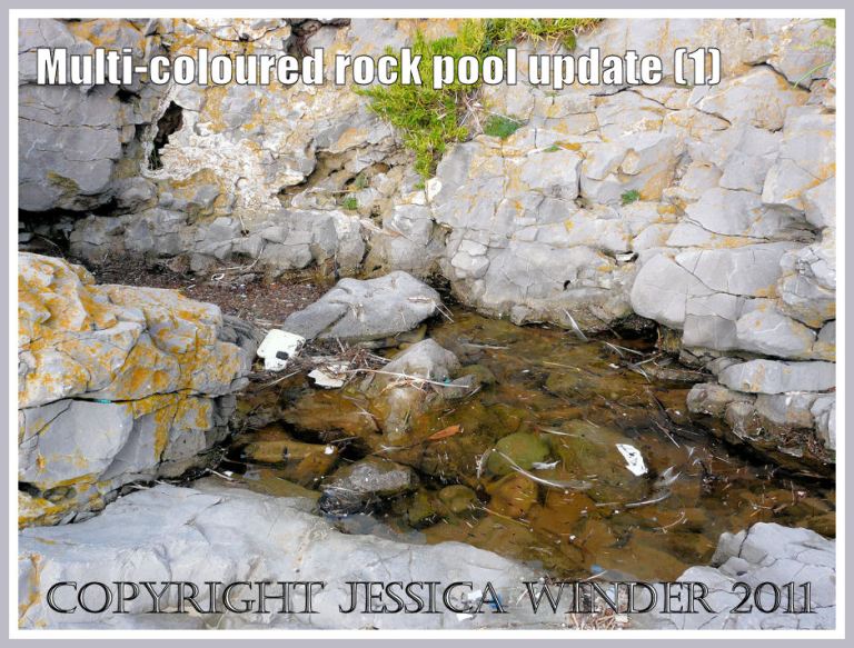 Rock pool recovering from plastic pollution in October 2009. The water is fairly clear. (1)