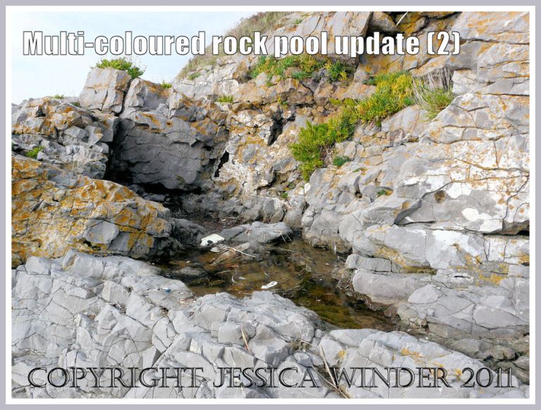 Rock pool recovering from plastic pollution in October 2009 (2)